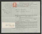 Nachlass Franz Steindachner, Aufgabeschein von Henry Head & Co., Shipping and Forwarding Agents and Insurance Brokers an Franz Steindachner (10.01.1884), Inv.Nr. 202.01, Seite 1